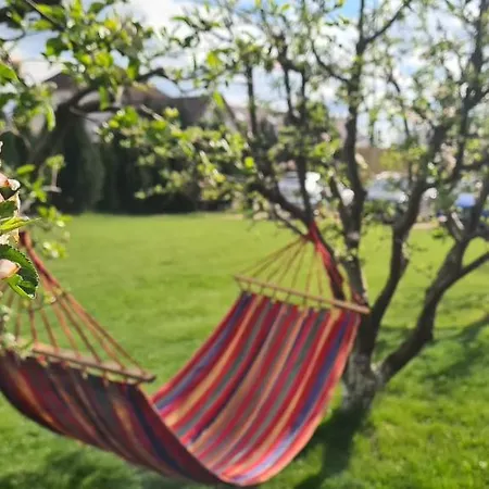 Orchard Guest house 3*