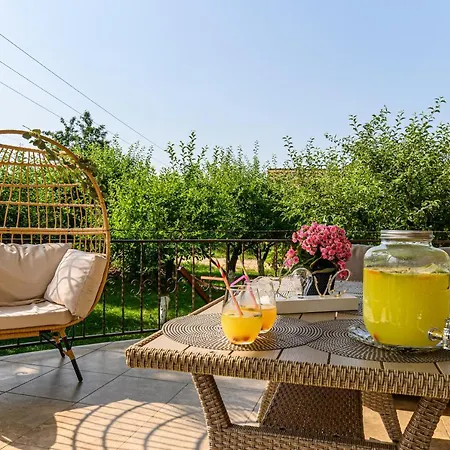 Orchard Brasov