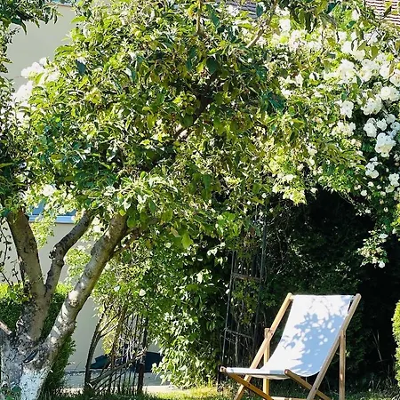 Orchard Brasov